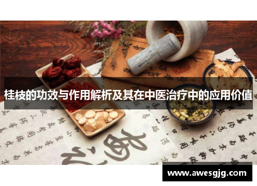 桂枝的功效与作用解析及其在中医治疗中的应用价值
