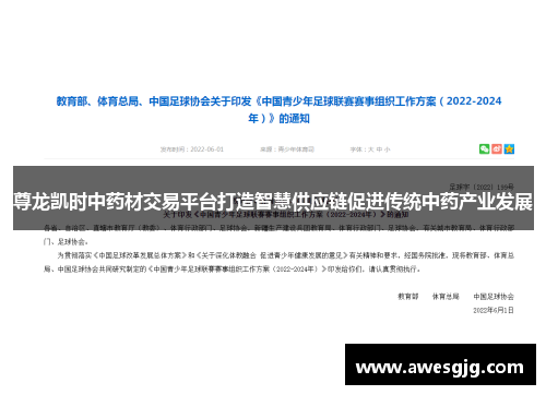 尊龙凯时中药材交易平台打造智慧供应链促进传统中药产业发展